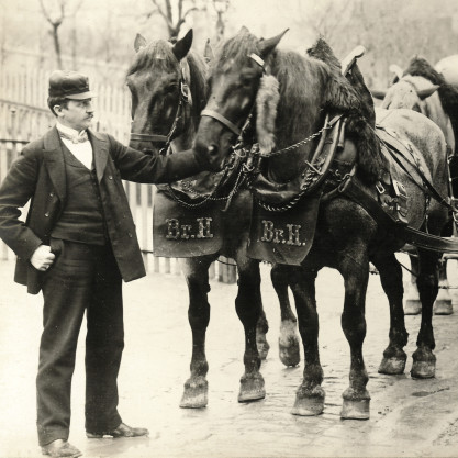 Bierführer mit Haldengutpferden um 1902